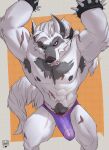  anthro armband armpit_hair body_hair canid canine canis chest_scar clothing erection facial_scar genitals hi_res lion21 looking_at_viewer male mammal muscular penis scar simple_background solo translucent translucent_clothing translucent_underwear tuft underwear wolf 