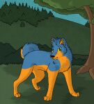  2011 ambiguous_gender black_nose blue_body blue_fur blue_sky bluekyokitty canid canine canis curled_tail detailed_background digital_drawing_(artwork) digital_media_(artwork) digitigrade domestic_dog eyebrows feral fox full-length_portrait fur grass green_eyes green_sclera head_tuft husky hybrid inner_ear_fluff low_res male_(lore) mammal nordic_sled_dog orange_body orange_fur orange_inner_ear_fluff outside paws plant portrait sebdoggo shaded sky solo spitz standing tail toby_wolfkat tree tuft 