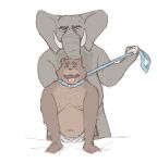  absurd_res bear corgi_in_pamps diaper duo elephant elephantid hi_res leash male male/male mammal proboscidean 