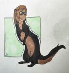  absurd_res bsul domestic_ferret hi_res invalid_background invalid_tag male mammal model_sheet mustelid musteline pockets solo traditional_media_(artwork) true_musteline weasel 