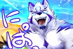  anthro beach canid canine clothed clothing dororich3 eyes_closed facial_markings fur head_markings japanese_text lifewonders live_a_hero male mammal markings multicolored_body multicolored_fur muscular muscular_anthro muscular_male pecs sadayoshi sea seaside smile solo text topless water 