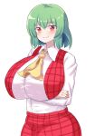  1girl ascot breasts crossed_legs godkami17 green_hair highres kazami_yuuka large_breasts looking_at_viewer red_eyes solo touhou white_background yellow_ascot 