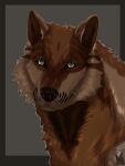  3:4 black_border black_nose border brown_body brown_fur brown_inner_ear_fluff canid canine canis female feral fur green_eyes grey_background hi_res inner_ear_fluff mammal simple_background solo tuft whiskers wolf woolfy_saimon 