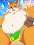  2023 absurd_res anthro belly big_belly blush bulge canid canine clothing cloud fox hi_res humanoid_hands iyo_(tamacolle) kemono male mammal marumori0619 orange_body overweight overweight_male solo swimwear tamacolle tongue tongue_out 