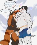  &lt;3 5_fingers ailurid anthro belly beverage big_bulge bite biting_lip black_ears black_pawpads black_spots blue_clothing blue_eyes blue_underwear blush bodily_fluids bulge canid canine canis claws clothed clothing dalmatian dialogue domestic_dog drinking drooling duo english_text eyes_closed fangs fingers floppy_ears fluffy fur hi_res holding_beverage holding_object jockstrap looking_at_another looking_at_belly male male/male mammal markings mokkete nipples orange_body orange_fur overweight overweight_anthro overweight_male pawpads pink_nipples red_panda rico_(rezznov) saliva sparkles speech_bubble spots standing striped_markings striped_tail stripes tail tail_markings teeth text topless topless_anthro topless_male underwear wedran white_belly white_body white_clothing white_fur white_jockstrap white_underwear 