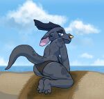  2020 anthro beach big_ears biped black_clothing blue_body blue_ears blue_eyes blue_horn blue_scales blue_tail cel_shading claws clothing cloudscape day eyelashes facial_piercing female freckles grey_body grey_scales grey_tail horn kobold long_ears looking_back markings multicolored_ears nose_piercing nose_ring outside piercing pink_ears rear_view ring_piercing scale_markings scales seaside shaded sky solo squablodecomplash tail tail_markings towel two_tone_ears two_tone_tail underwear vex_(squablodecomplash) 