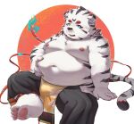  2023 anthro belly big_belly black_nose blush bottomwear bulge clothing felid hi_res kemono loincloth male mammal moobs morain_xs navel nipples overweight overweight_male pantherine pants solo tiger white_body 