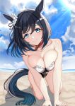  1girl alternate_costume animal_ears bare_shoulders barefoot beach black_hair blue_eyes blue_sky breasts breasts_squeezed_together cleavage cloud cloudy_sky ear_ornament eishin_flash_(umamusume) highres horse_ears horse_girl horse_tail jewelry large_breasts looking_at_viewer necklace ocean on_ground one-piece_swimsuit outdoors sand short_hair sky smile solo swimsuit tail tsukiyuki_mike umamusume 