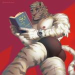  2023 absurd_res anthro areola arknights blue_eyes book bublelery butt clothing felid fur hi_res hypergryph looking_at_viewer lying male mammal mountain_(arknights) muscular muscular_anthro muscular_male nipples pantherine scar solo striped_body striped_fur stripes studio_montagne tiger underwear white_body white_fur wristband 