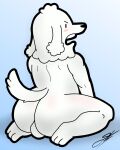  anthro balls big_butt blush butt canid canine canis d13w0tt_(artist) dogs_in_space domestic_dog fur genitals happy_(dogs_in_space) kneeling looking_back male mammal netflix nude poodle pose simple_background solo upset white_body white_fur 