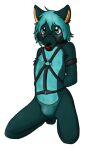  2012 alpha_channel anthro arms_tied arms_tied_behind_back ball_gag black_nose blue_body blue_clothing blue_eyes blue_fur blue_hair blue_thong blue_underwear bluekyokitty blush bound canid canine clothed clothing digital_drawing_(artwork) digital_media_(artwork) full-length_portrait fur gag hair hands_behind_back harness inner_ear_fluff kneeling low_res male mammal muzzle_(object) muzzled orange_inner_ear_fluff pink_blush portrait sebdoggo shaded simple_background soft_shading solo thong transparent_background tuft underwear underwear_only 