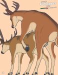  2023 antlers balls brown_body brown_fur butt cloven_hooves deer digital_media_(artwork) duo feral feral_on_feral feral_penetrated feral_penetrating feral_penetrating_feral from_behind_position fur genitals hi_res hooves horn lizardlars male male/male male_penetrated male_penetrating male_penetrating_male mammal mounting multicolored_body multicolored_fur penetration quadruped sex simple_background spitey subscribestar tan_background tan_balls tan_body tan_fur two_tone_body two_tone_fur 