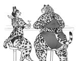  2023 alcohol anthro bar beverage bikini bra butt cettus cheetah clothed clothing cocktail cocktail_glass container cup drinking_glass duo felid feline female fur furniture glass glass_container glass_cup hair holding_glass holding_object leopard line_art mammal overweight overweight_anthro overweight_female pantherine panties partially_clothed rear_view simple_background sitting size_difference spots spotted_body spotted_fur stool swimwear tail talking_to_another underwear 