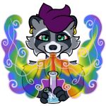  bong drugs mammal marijuana procyonid raccoon rainbow smoke sticker 