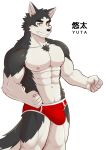  abs anthro bulge canid canine canis clothing domestic_dog fur half_naked herm intersex luwei_(artist) male mammal muscular muscular_arms muscular_male pecs solo speedo swimwear underwear yuta 