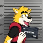  2023 anthro barbie_and_ken_mugshot_meme beard canid canine canis clothing digital_media_(artwork) ear_piercing ear_ring eyebrows facial_hair fur hi_res holding_object josh_(starhaps) male mammal meme mugshot nthestarhaps0 open_mouth open_smile piercing ring_piercing shirt sleeveless_hoodie smile solo son tan_body tan_fur teeth text tongue topwear wolf yellow_body yellow_fur 