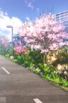  blue_sky building cherry_blossoms cloud cloudy_sky flower grass hedge lamppost original plant purple_flower road scenery sky tree yk_funa 