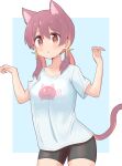  1girl :o animal_ear_fluff animal_ears bare_arms bike_shorts blue_background breasts brown_eyes brown_hair cat_ears cat_girl cat_tail collarbone commentary cowboy_shot es04b extra_ears hair_between_eyes hands_up highres kemonomimi_mode light_blush long_hair looking_at_viewer medium_breasts multicolored_hair murosaki_miyo onii-chan_wa_oshimai! open_mouth red_hair shirt short_sleeves simple_background solo t-shirt tail two-tone_hair white_shirt 