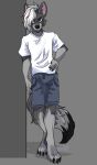  anthro canid canine canis casual_clothing clothing fanaya hi_res male mammal shaded solo standing wall_(structure) wolf 