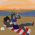  absurd_res anthro beach breasts brown_hair canid canine clothing crop_top ears_up facial_markings female fox fur garfieldkartisfun grey_body grey_fur hair happy head_markings hi_res mammal markings maya_(gkif) navel orange_eyes paws sandels seaside shirt sitting small_breasts solo striped_face stripes sunset swimming_trunks swimwear tan_body tan_fur topwear 