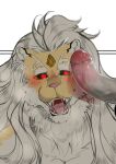  absurd_res ahegao anthro big_penis black_sclera bodily_fluids cum duo erection eviniix felid fur genital_fluids genitals hair hi_res humanoid_genitalia humanoid_penis javid_(dislyte) leaking_cum lion looking_pleasured male male/male mammal mane open_mouth pantherine penis red_eyes sweat teeth tongue tongue_out white_body white_fur white_hair white_mane yellow_body yellow_fur 