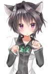  1girl 9-nine- absurdres animal_ear_fluff animal_ears black_hair black_shirt blush cat_ears chestnut_mouth commentary_request eyelashes frilled_sleeves frills hair_between_eyes hair_intakes hair_ornament hairclip hands_up highres juliet_sleeves long_sleeves looking_at_viewer open_mouth paw_pose puffy_sleeves purple_eyes school_uniform shirt short_hair_with_long_locks sidelocks solo spiked_hair straight-on takepoison two-tone_shirt upper_body white_shirt wide_sleeves wing_collar yuuki_noa 