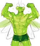  2023 abs absurd_res antennae_(anatomy) anthro areola arthropod bulge clothed clothing digital_media_(artwork) eyebrows green_body hi_res insect insect_wings kogito looking_at_viewer male mantis muscular muscular_anthro muscular_male navel nipples non-mammal_nipples pecs simple_background solo sparkles underwear underwear_only white_background wings 