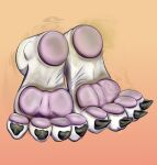  absurd_res artist_muffinvinvin bodily_fluids canid canine canis cheesy dirty domestic_dog feet foot_focus fox hi_res invalid_tag male mammal paws smelly soles solo sweat wolf 