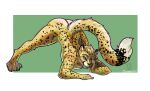  absurd_res anal anal_vore anthro cheetah felid feline hi_res jack-o&#039;_pose macro male male/male mammal micro pose selreini_(character) solo vore 