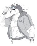  abs absurd_res anthro bottomwear canid canine canis clothing domestic_dog eyewear goggles hi_res izm_rm7 lifewonders male mammal masanori muscular muscular_anthro muscular_male nipples pecs short_sleeve_hoodie shorts solo tokyo_afterschool_summoners wet wet_body 