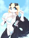  anthro big_breasts bikini bikini_pull black_body black_fur blonde_hair blue_eyes border_collie breasts canid canine canis chest_tuft clothing clothing_pull collie domestic_dog female fluffy fluffy_tail fur hair hand_on_breast herding_dog huge_breasts mammal pastoral_dog rafale_(scramjet) sheepdog skwidbone solo swimwear swimwear_pull tail thick_thighs tuft white_body white_fur 