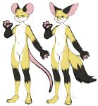 absurd_res anthro asusya belly big_ears black_body black_ears black_fur black_hands blue_eyes canid canine duo fennec fox fur hi_res male mammal mouse multicolored_body multicolored_fur multicolored_tail murid murine mysh_(prussian_mouse) paws rodent tail white_belly white_body white_fur yellow_body yellow_fur 