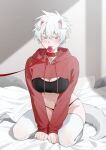  1girl animal_ears bechu bed belt_collar black_bra black_panties blush bowl bra breasts cleavage closed_mouth collar condom condom_in_mouth condom_wrapper cropped_hoodie cuffs devil_may_cry_(series) dog_ears dog_girl dog_tail genderswap genderswap_(mtf) grey_eyes hair_between_eyes handcuffs highres hood hood_down hoodie jewelry kneeling large_breasts leash leash_pull long_sleeves looking_at_viewer mouth_hold navel_piercing necklace nero_(devil_may_cry) on_bed panties pet_play piercing red_hoodie short_hair sitting solo sweat tail thighhighs underwear viewer_holding_leash white_hair white_thighhighs 