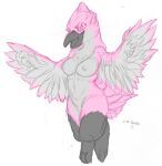  anthro avian bird breasts feathers female hi_res kitsune_youkai nipples open_mouth pink_body pink_feathers solo white_body white_feathers 