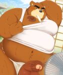  2023 absurd_res anthro asian_clothing bear belly big_belly black_nose bodily_fluids brown_body clothing clothing_aside east_asian_clothing electric_fan fundoshi fundoshi_aside hi_res humanoid_hands japanese_clothing juuichi_mikazuki kemono male mammal marumori0619 moobs morenatsu navel nipples overweight overweight_male solo sweat underwear underwear_aside white_clothing white_fundoshi white_underwear 