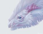  2023 ambiguous_gender blue_eyes digital_media_(artwork) dragon feral fur furred_dragon headshot_portrait horn morsylvia portrait ridged_horn simple_background solo white_background white_body white_fur 