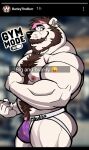  2023 5_fingers anthro barley_(barleytheburr) bear beard blue_eyes blurred_background blush body_hair brown_beard brown_hair chest_tuft claws clothed clothing darknaigart ear_piercing english_text facial_hair finger_claws fingers flexing_bicep gym hair happy_trail hi_res highlights_(coloring) jockstrap jockstrap_only male mammal muscular muscular_anthro muscular_male nipples pecs piercing pink_highlights polar_bear pose posing_for_picture post purple_clothing purple_underwear snapchat social_media solo text topless tuft underwear underwear_only ursine 
