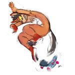  1:1 anthro chest_tuft colored_sketch fur gloves_(marking) grey_tail grin hi_res leg_markings male markings nude orange_body orange_fur oselotti signature simple_background skateboard skateboarding sketch smile socks_(marking) solo tail tuft white_background white_tail 