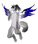  2021 anthro areola back_wings biped black_hair black_markings black_nose breasts canid canine canis cheek_tuft claws countershade_face countershade_torso countershading digitigrade dipstick_tail eyebrows facial_tuft female frank-79 genitals gloves_(marking) grey_body hair hi_res leg_markings long_hair looking_at_viewer magic mammal markings multicolored_body navel nipples nude ponytail pubes pussy small_breasts socks_(marking) solo spread_wings tail tail_markings toe_claws tomboy tuft two_tone_body white_body wings wolf 