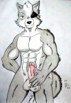  abs absurd_res anthro arm_tuft balls black_nose brown_eyes canid canine canis dashthefox eye_patch eyewear fur genitals grey_body grey_fur hi_res male mammal manly muscular nintendo nude nude_anthro nude_male obliques pecs penis pink_penis seductive simple_background solo star_fox touching_penis traditional_media_(artwork) tuft vein veiny_penis wolf wolf_o&#039;donnell 