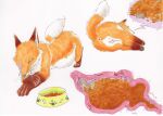  abdominal_bulge anus canid canine cutaway duo eating eating_food eyes_closed female female_pred feral feral_pred feral_prey fox full_stomach genitals hi_res internal larger_pred lying mammal mouse murid murine nikki_kaitan on_ground on_side organs pussy red_fox rodent size_difference smaller_prey soft_vore stomach vore 