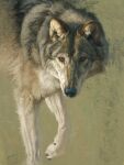  2019 ambiguous_gender brown_body brown_eyes brown_fur canid canine canis feral formal_art fur greg_beecham grey_body grey_fur hi_res mammal oil_painting_(artwork) painting_(artwork) solo traditional_media_(artwork) white_eyes wolf 