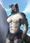  2023 abs absurd_res anthro areola arknights bulge clothing collar eyebrow_piercing facial_piercing fur grey_body grey_fur hair half-closed_eyes hi_res hyena hypergryph male mammal multicolored_body multicolored_fur multicolored_hair muscular muscular_anthro muscular_male narrowed_eyes navel piercing pureolliebranch sand sea solo spot_(arknights) spots spotted_body spotted_fur spotted_hyena studio_montagne surfboard swimwear tail two_tone_body two_tone_fur two_tone_hair water 