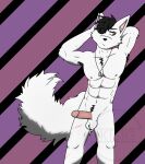  anthro armpit_hair body_hair bored canid canine canis dog_tags erection eye_patch eyewear genitals hi_res kisig male mammal muscular muscular_male nipples penis pose scar scars_all_over solo standing wolf 