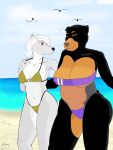  101_dalmatian_street 101_dalmatians absurd_res alpha_and_omega anthro bbear big_breasts bikini biped blep blush breasts butt canid canine canis clothed clothing dated digital_media_(artwork) disney domestic_dog duo erect_nipples female female/female fur gris_swimsuit hair hi_res lilly_(alpha_and_omega) mammal mastiff meme meme_clothing molosser multicolored_body multicolored_fur navel nipples one-piece_swimsuit rottweiler roxy_(101_dalmatians) shaded signature smile standing swimwear tail thick_thighs tongue tongue_out translucent translucent_clothing translucent_swimwear white_body white_fur wolf 