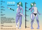  2020 4_toes anthro anthrofied big_feet black_clothing black_underwear blue_body blue_scales briefs butt chart clothed clothing color_swatch desta_(thatdratini) dratini english_text feet foot_crush front_view generation_1_pokemon girly gradient_background green_hair hair height height_chart holding_vehicle looking_at_viewer macro male model_sheet nandix nintendo plantigrade pokemon pokemon_(species) ponytail profanity raised_foot rear_view scales simple_background solo stomping tail text tiptoes toes underwear underwear_only weights 