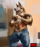  anthro belt biceps bottomwear canid canine canis clothing denim denim_clothing hi_res jeans kodr male mammal muscular pants solo wolf 