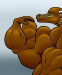  5:6 anthro big_muscles bronze_dragon_(dnd) dragon dragon_(dnd) dungeons_and_dragons flexing_bicep hasbro herculesrazor huge_muscles looking_at_viewer looking_back male metallic_dragon_(dnd) muscular muscular_anthro muscular_male razor_(herculesrazor) rear_view scalie solo western_dragon wizards_of_the_coast 