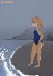  absurd_res anthro beach clothing dr4kun female hi_res looking_at_viewer raining seaside solo standing swimwear young 