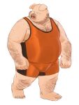  2023 absurd_res anthro belly big_belly bulge domestic_pig hi_res humanoid_hands huynhduyad14 kemono male mammal overweight overweight_male solo suid suina sus_(pig) wrestling_singlet 